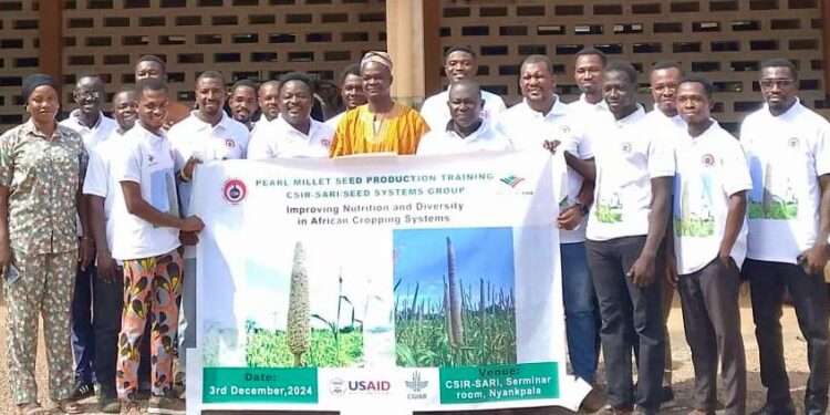 CSIR-SARI and Partners Champion Improved Pearl Millet Seed for Ghanaian Farmers