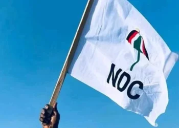 Flag of the National Democratic Congress (NDC)