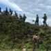 African Leaders To Push For DR Congo Peace 14 African Leaders To Push for DR Congo Peace
