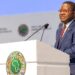 AfDB Offers Recommendations to Address Nigeria and Africa’s Debt and Forex Challenges