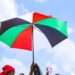 Wisdom Dogbey Hails NDC, Expresses Hope for the Future 11 National Democratic Congress (NDC)