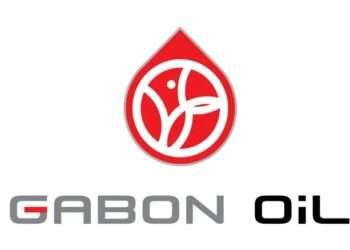 WhatsApp Image 2024 12 17 at 17.01.06 9c60d0b8