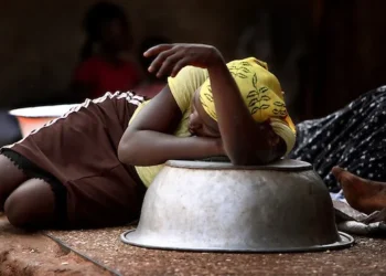 95202191335 0g830m4yxt kayayo 1