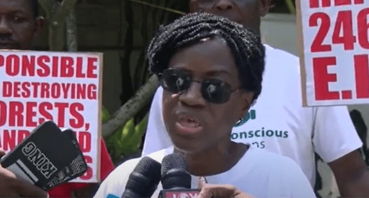 Awula Serwaa Slams Government’s Delays in Fighting Illegal Mining 1 Madam Awula Serwaa, Founder of Eco-Conscious Citizens