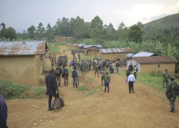 Congolese forces in North Kivu