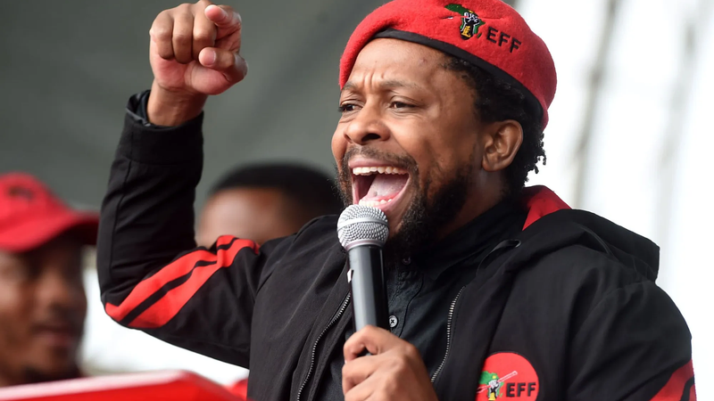 Dr Mbuyiseni Ndlozi