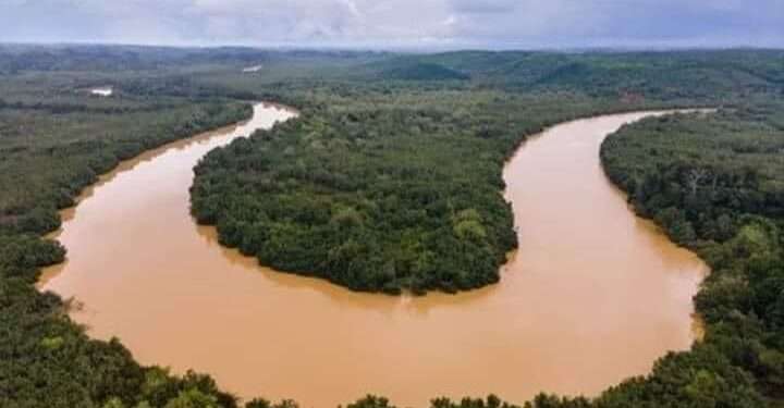 Illegal Mining: a National Crisis that Demands Urgent Action 1 Galamsey Forest 1