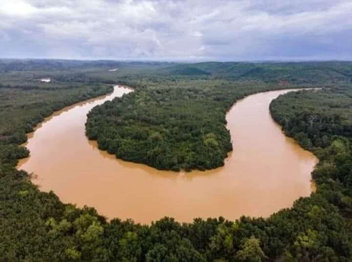 Galamsey Forest 1