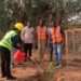 GCB Bank Breaks Ground for New Pediatric Unit at UG Hospital 12 GCB Bank Breaks Ground for New Pediatric Unit at UG Hospital