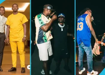 Stonebwoy Beats Tyla As Most-Awarded Musician