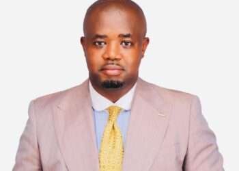 Lawyer Edudzi Tamakloe, Acting CEO of NPA