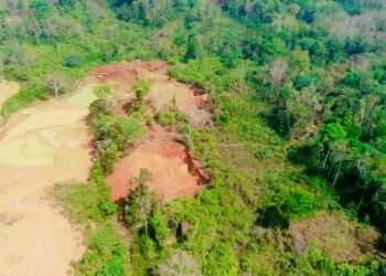 Prioritizing Sustainable Mining and Biodiversity Restoration Efforts