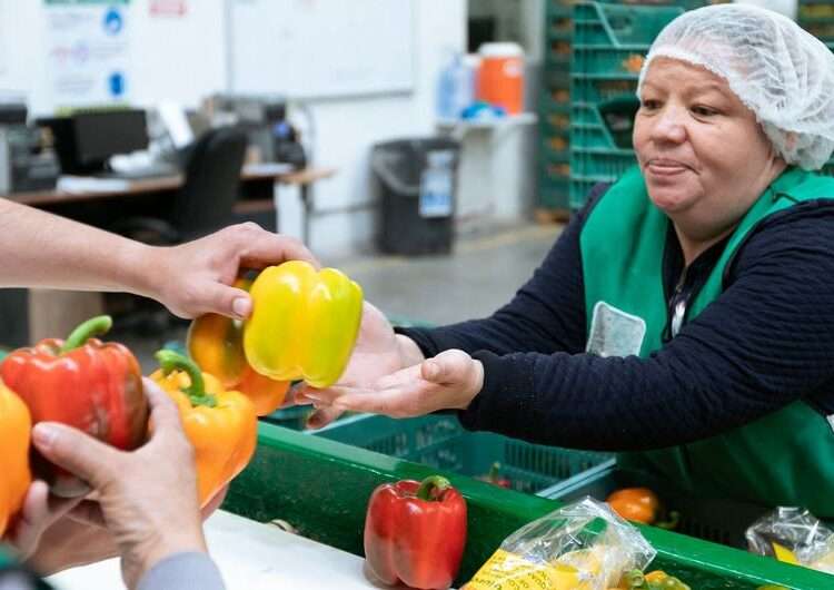 A woman sorts peppers at a factory in Poncitlan, Mexico