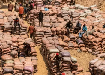 A general view of artisanal miners working at a mine near Kolwezi. Rights groups have flagged human rights abuses in the region