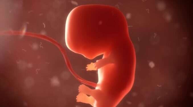 Lab-Grown Sperm And Eggs Could Soon Enable Parents To Design Their Future Children