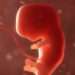 Lab-Grown Sperm And Eggs Could Soon Enable Parents To Design Their Future Children 12 Lab-Grown Sperm And Eggs Could Soon Enable Parents To Design Their Future Children