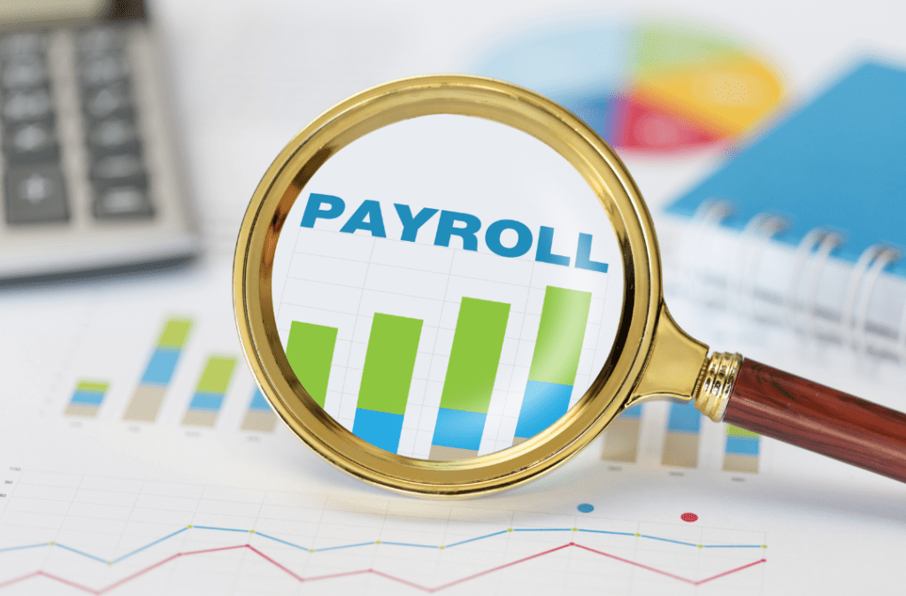 payroll audit