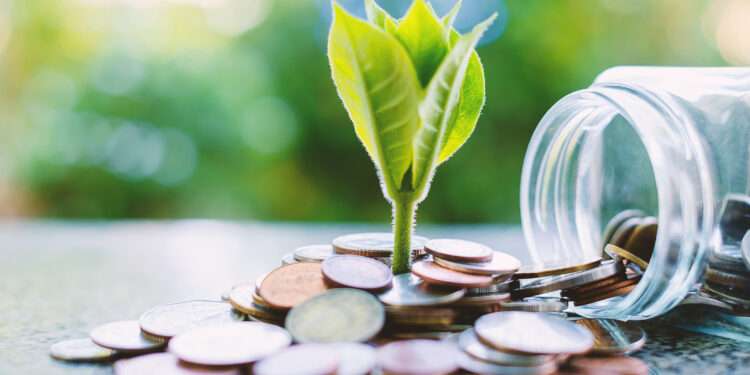 YCC Opposes Using Carbon Funds for MP’s Pensions 1 Carbon Funds