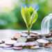 Carbon Funds