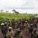 Malawi to Withdraw Troops from DRC Conflict