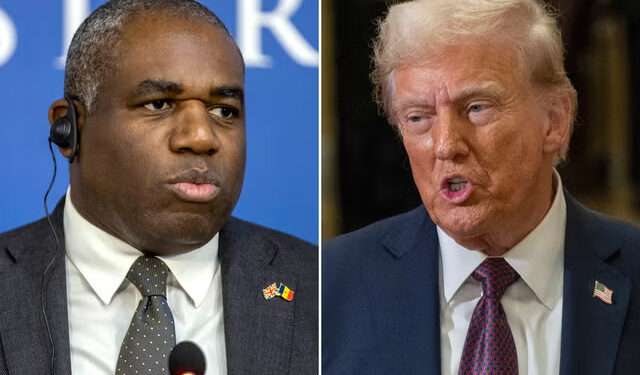 David Lammy called on Donald Trump, who once wrote a book titled The Art of the Deal, to realise a good “deal” was working with Ukraine