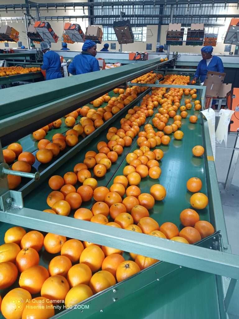 Excise tax affect Fruit Juice Production