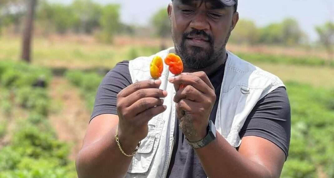 President Mahama Appoints John Setor Dumelo as Deputy Minister of Agriculture