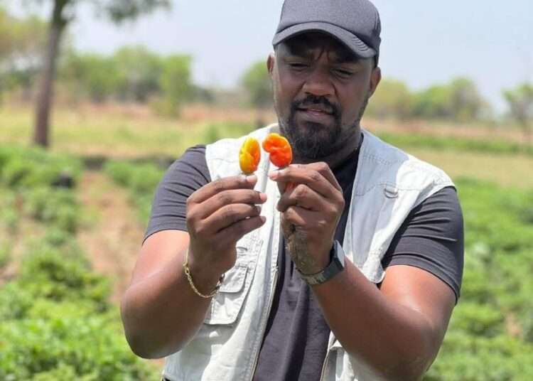 President Mahama Appoints John Setor Dumelo as Deputy Minister of Agriculture 1 President Mahama Appoints John Setor Dumelo as Deputy Minister of Agriculture