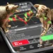 Investors Reenter Market as Bulls Dominate