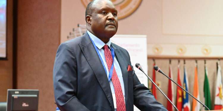 AU Urged To Refocus on Conflict Resolution and Justice 1 H.E. Chief Fortune Charumbira