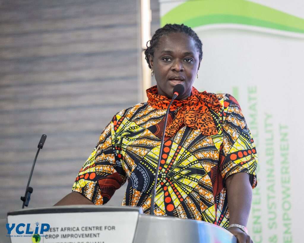 Government Bans All Styrofoam Products Effective January 2027 2 Professor Nana Ama Brown Klutse, CEO of the Environmental Protection Authority, Plastic waste