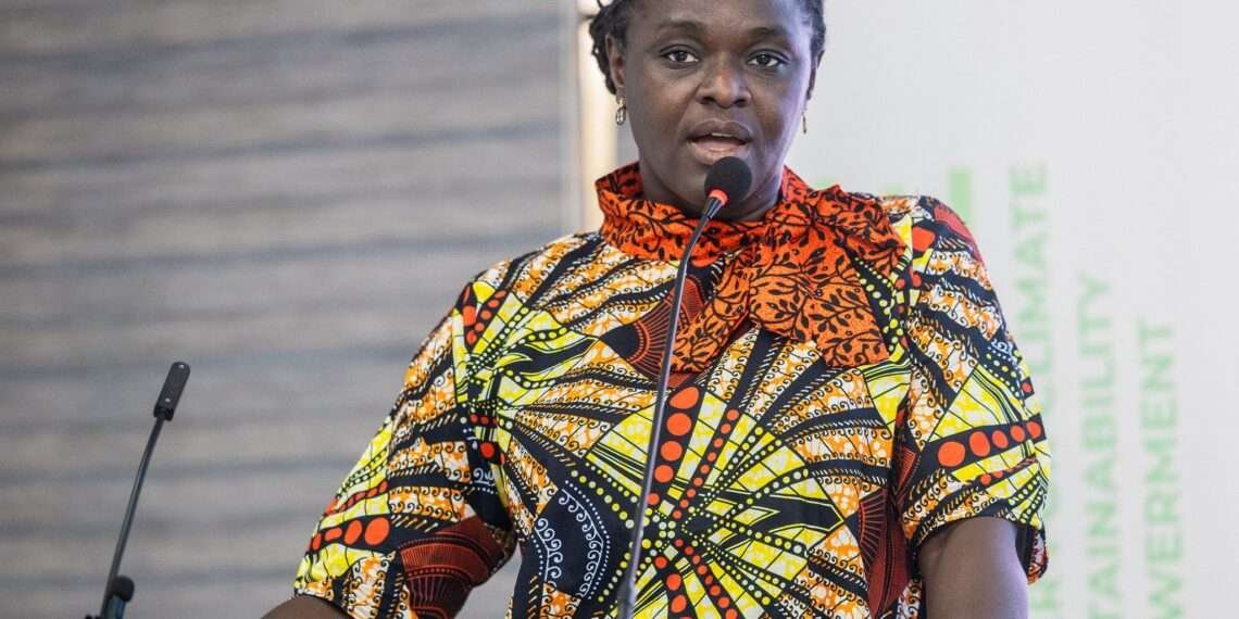 Professor Nana Ama Brown Klutse, CEO of the Environmental Protection Authority, Plastic waste