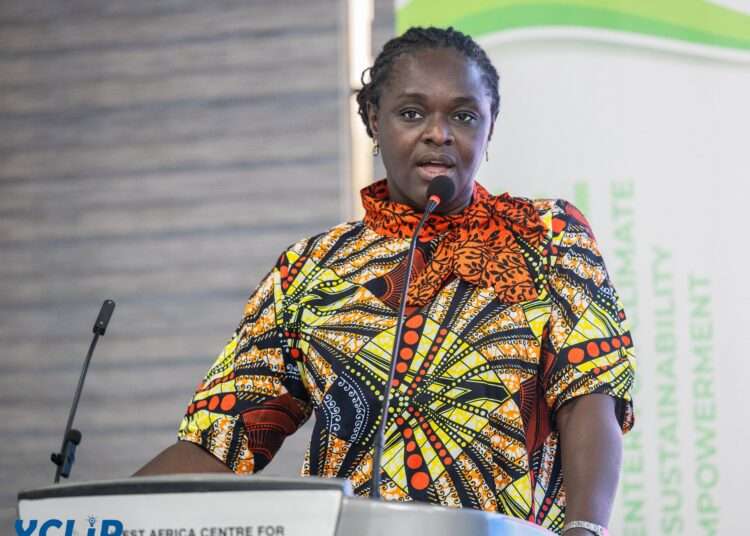 EPA CEO Vows to Combat Ghana’s Plastic Waste Crisis 1 Professor Nana Ama Brown Klutse, CEO of the Environmental Protection Authority, Plastic waste