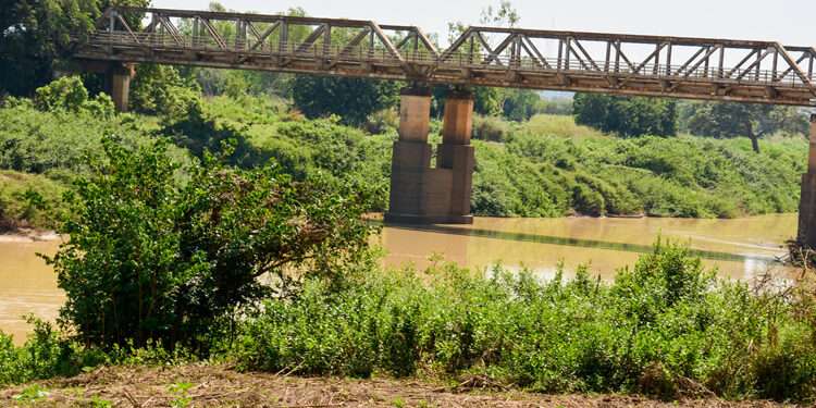 Bright Simons Demands Transparency on Pwalugu Dam Termination 1 Pwalugu Multipurpose Dam Project