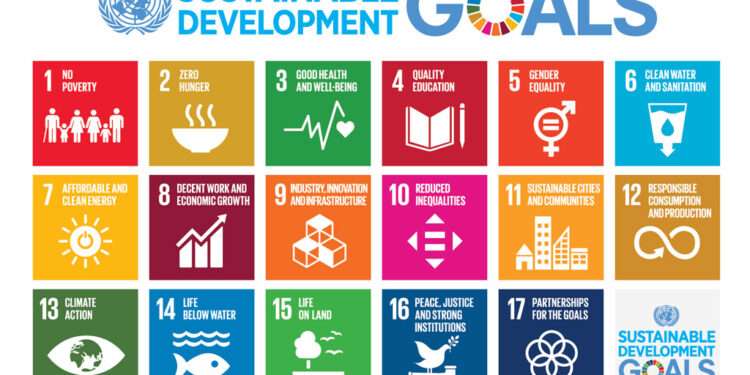 17 SDGs