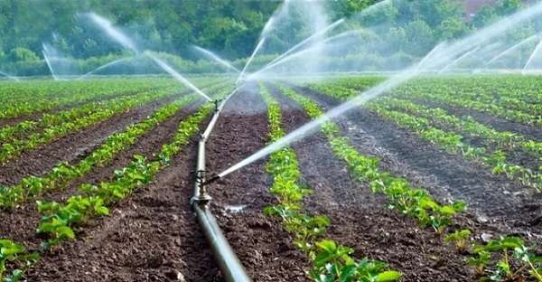 Water Mechanization System Watering Crops