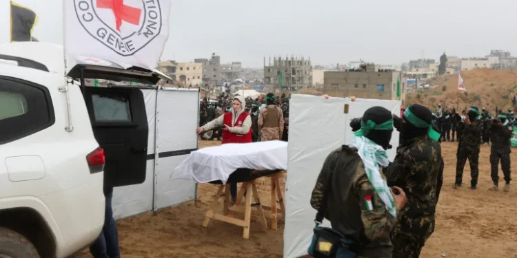 A member of the Red Cross stands near a coffin during the handover of the bodies of four Israeli hostages.