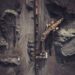 DR Congo's Mineral Wealth Curse 14 Gold Surge Offers Lifeline For Sudan’s Fragile Economy