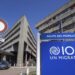 IOM Faces Major Funding Cuts, Restructures Operations