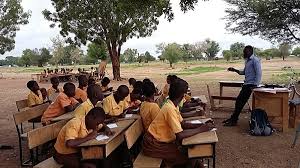 Schools under trees