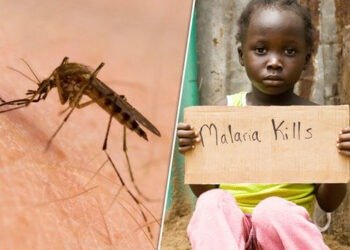 Trump's Aid Cuts Threaten Africa's Malaria Fight 1 Trump's Aid Cuts Threaten Africa's Malaria Fight
