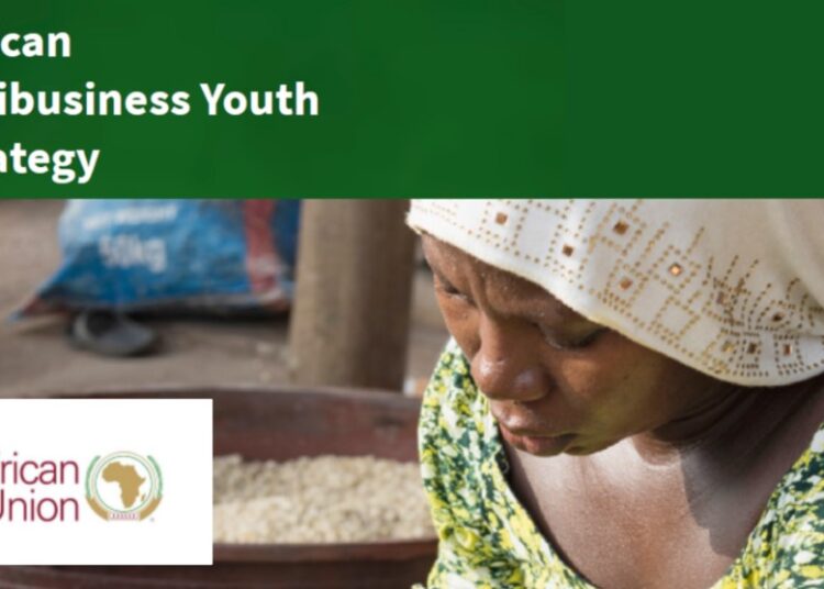 AU Backs Youth Agribusiness Push In Island States 1 AU Backs Youth Agribusiness Push In Island States