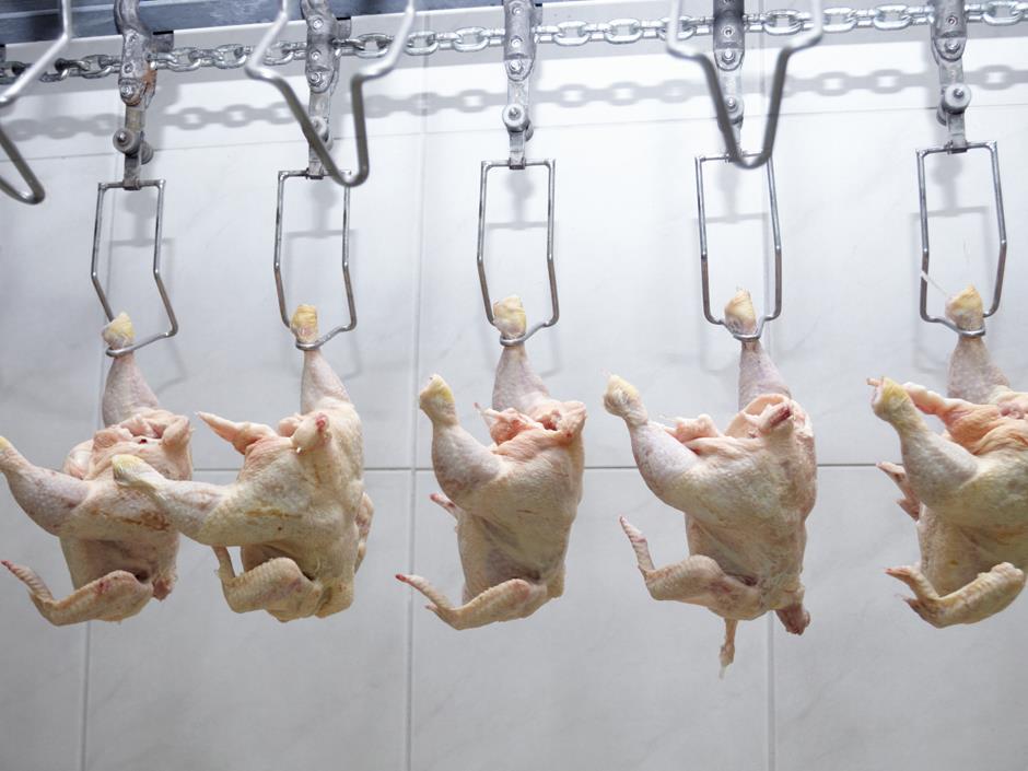 Chlorine washed chicken