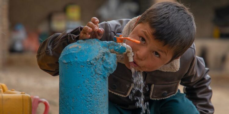 Humanitarian Data At Risk Amid Global Funding Cuts