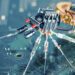 Experts Push Government to Adopt Nanotech Energy Solutions 14 Nanotech Energy