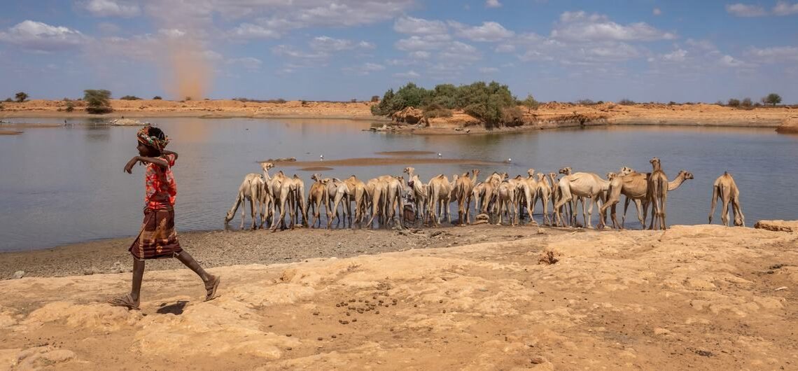 Severe Funding Gaps Threaten Ethiopia's Nutrition Efforts