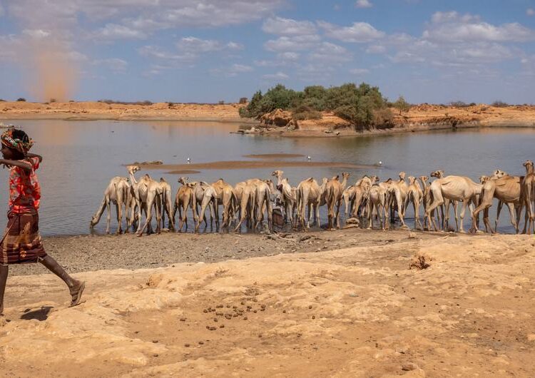 Severe Funding Gaps Threaten Ethiopia's Nutrition Support Efforts 1 Severe Funding Gaps Threaten Ethiopia's Nutrition Efforts