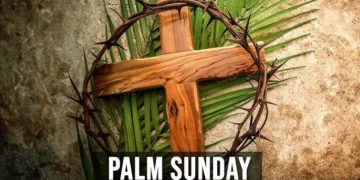 palm1