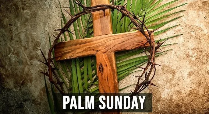 palm1