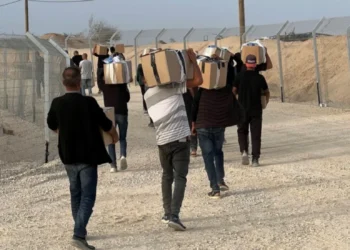 Gaza Humanitarian Foundation Called 'A Distraction’